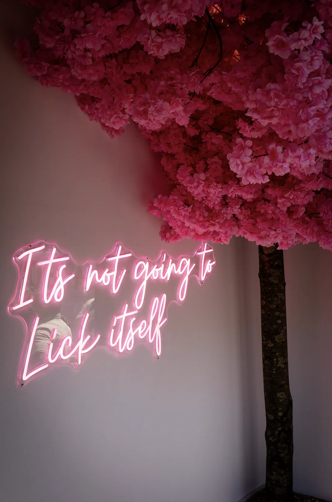 The blossom tree beside the neon sign reading It's not going to lick itself
